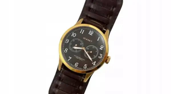 Gant W70233 Park Hill: Klasyka, cena i opinie czy warto kupić?