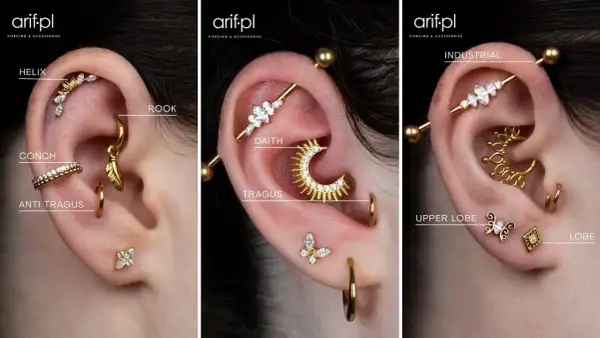 Ucho z wieloma kolczykami: helix, rook, conch, anti tragus, daith, tragus, industrial, upper lobe i lobe.