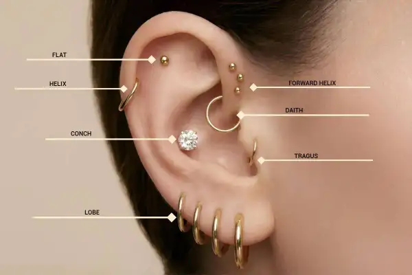 Ucho z wieloma kolczykami, w tym przekłucie daith, helix, conch, tragus i lobe.